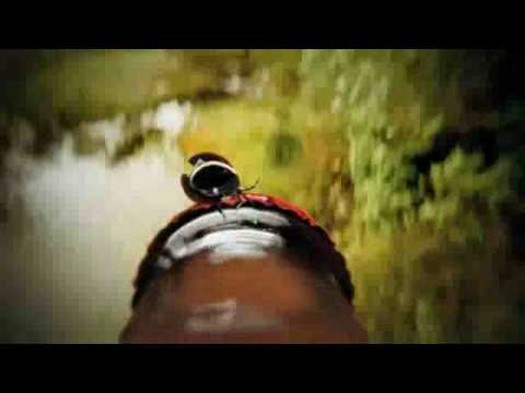 YouTube voorvertoningsafbeelding