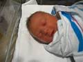 videos de Oliver's 23rd Hour of Life (ex utero)