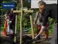 玉川上水沿いに植樹  岩手・北上から小金井へ桜…