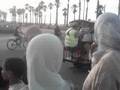 sayf eljadida .train 2005