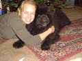 Abschiedsvideo vom verstorbenen Chow Chow Moritz