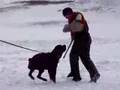 Che - Schutzund Training