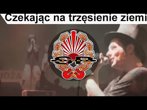 Tekst piosenki Pidżama Porno - Czekając na trzęsienie ziemi po polsku