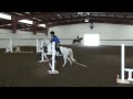 Perfect First Pony Leasable in CA Show Barn's Lesson Program