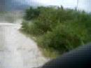 Buggy\