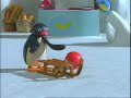 Green Eyed Pingu Green Eyed Pingu
