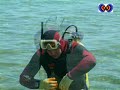 One Man Production yapımı olan bu belgsel ufkun altındaki kyzikos'u ve çevrsini anlatmakdadır.. Tüm yasal hakları One man productıona aittir.. Kamera Alaaddın BAbacuu Okhan BAbuccu Su altı kamera Alaaddın BAbacuu Okhan BAbuccu