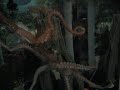 Ocho the Octopus and the Feeding Stick