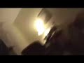 My Dog's Noisy Stomach