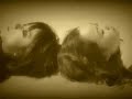 Suna no Hana - Art Cube Suna no Hana - Art Cube