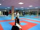 aikido sensei Bulent BAKKALOGLU aikido sensei Bulent BAKKALOGLU