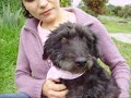 Nena perrita en adopción (GEPDA) NENA/ looking for a home