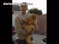 peter E 19th W 19th  St San Jose Cat Pt2