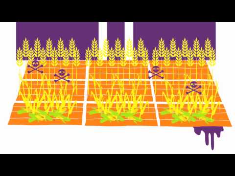 See video