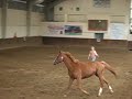 Mon cheval