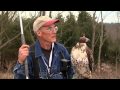 Falconry Rabbit Hunting