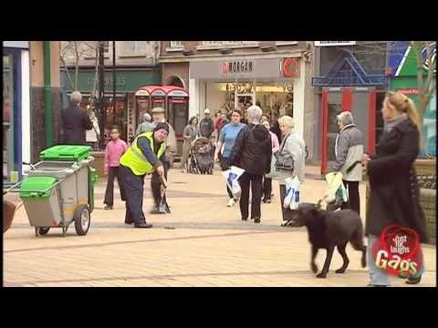 Dog Poop Attack