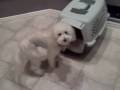 Chloe get in your house