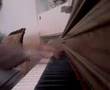 Underoath -A Boy Brushed Red Living in Black and White Piano