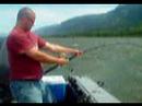 Columbia River Sturgeon \" OVERSIZE!!! \"