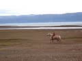Gaucho in Patagonia