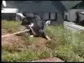 Laika Duschen