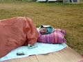 camping