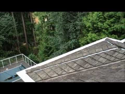how to install amerimax snap-in gutter filter