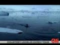 smart orcas