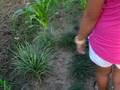 crops in tagum