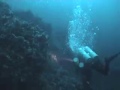 Tech1 level DPV dive