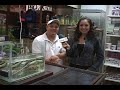 REPORTAJE CUIDADOS DE LAS TORTUGAS.mp4