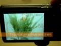 Ricoh Caplio R7 - demonstration video