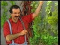 من مسرحية ليلى والذيب1988الكويتهدى حسين