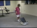 Swan robot