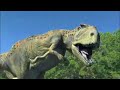 carcharodontosaurus carcharodontosaurus