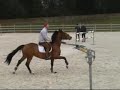 Irish Trial 130308