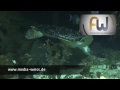 Fabian Weiss IT - On Tour -