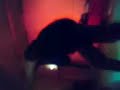 KM DAVID - Kafrine DOf� [ salagnon le 8 mars 2008 ]