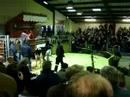 Smiddiehill Goldwyn Pledge sells for 50,000gns