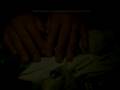 videos de Welcome to the World Aidan.wmv