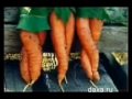 Видеоновость Шутки природы
