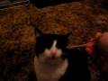 videos de MVI_0751.AVI