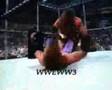 king of kings hhh