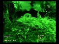 Blackwoods: Night Vision