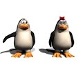 Comment draguer une nana en boite de nuit? papa pingouin Comment draguer une nana en boite de nuit? papa pingouin