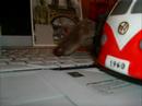 Cute  Funny Animation KIDROBOT