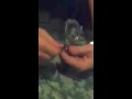how to get out of police handcuffs how to get out of police handcuffs