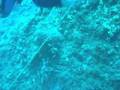 Scuba Diving in Kleidi, Aegina, Greece