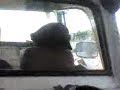 el Gato Parte 2